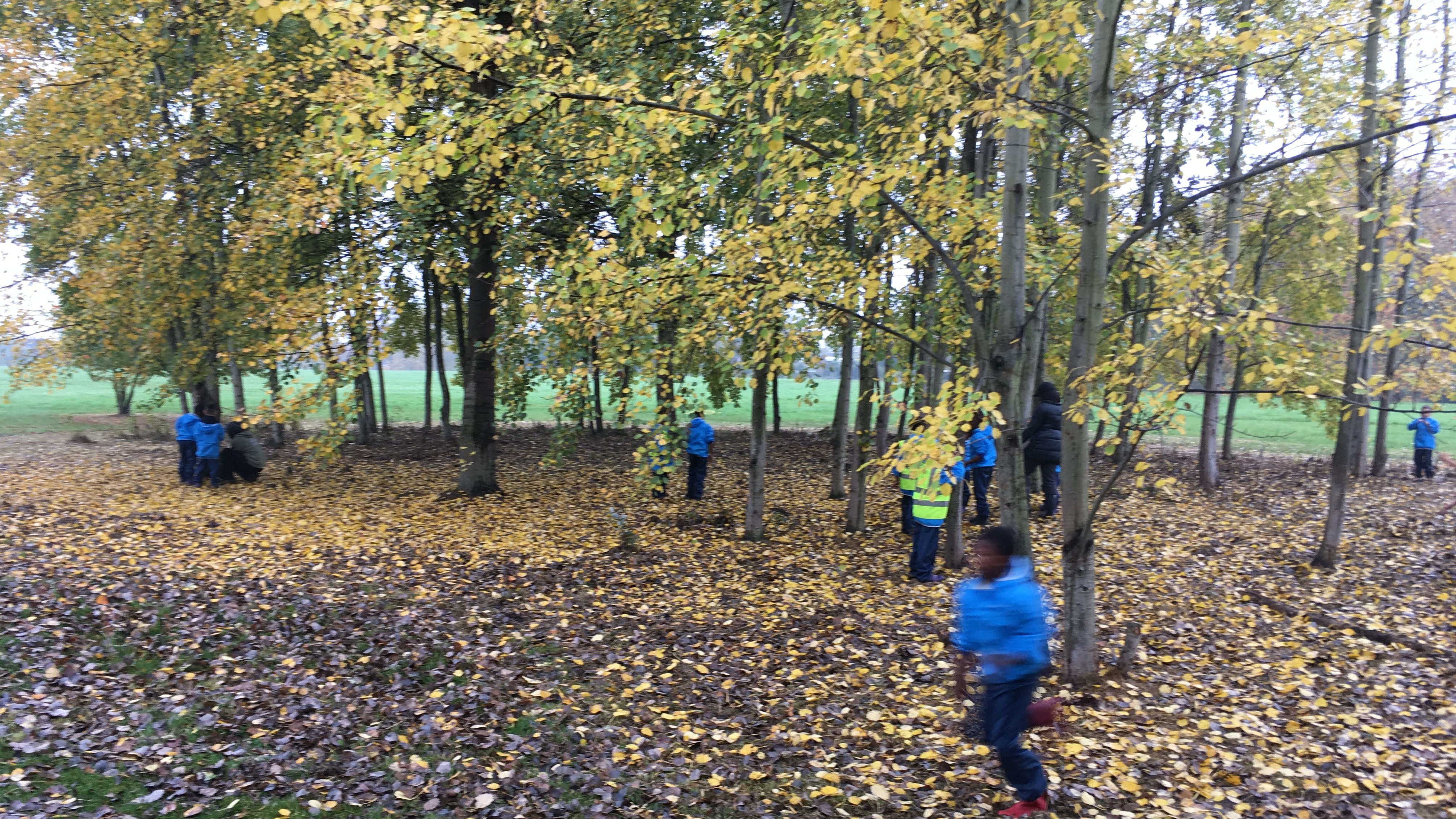 Forest School